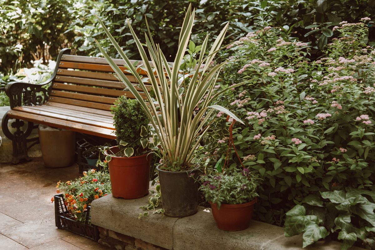 Jardin écologique : créer un extérieur beau, durable et économe en eau